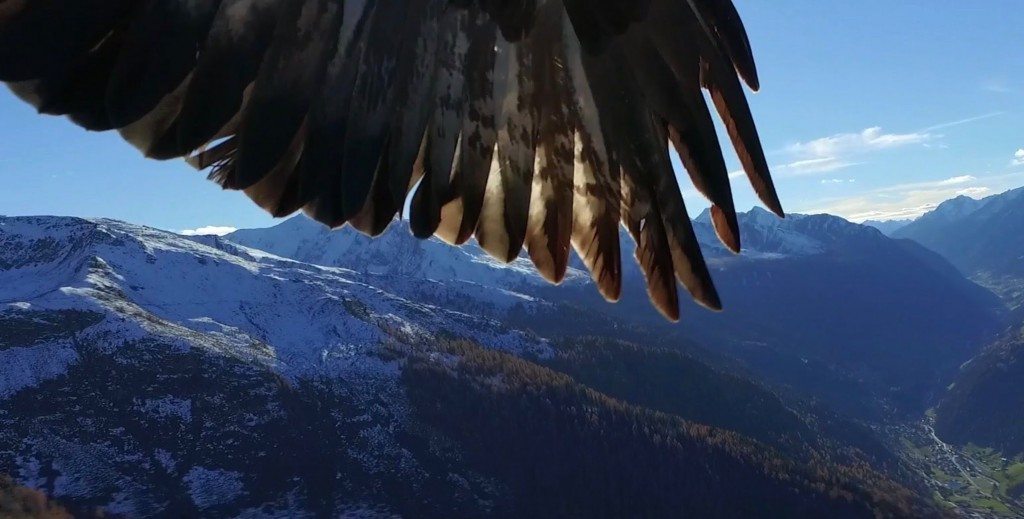 2 arenden vallen drone aan