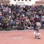 23 ste hoelahoepkampioenschap