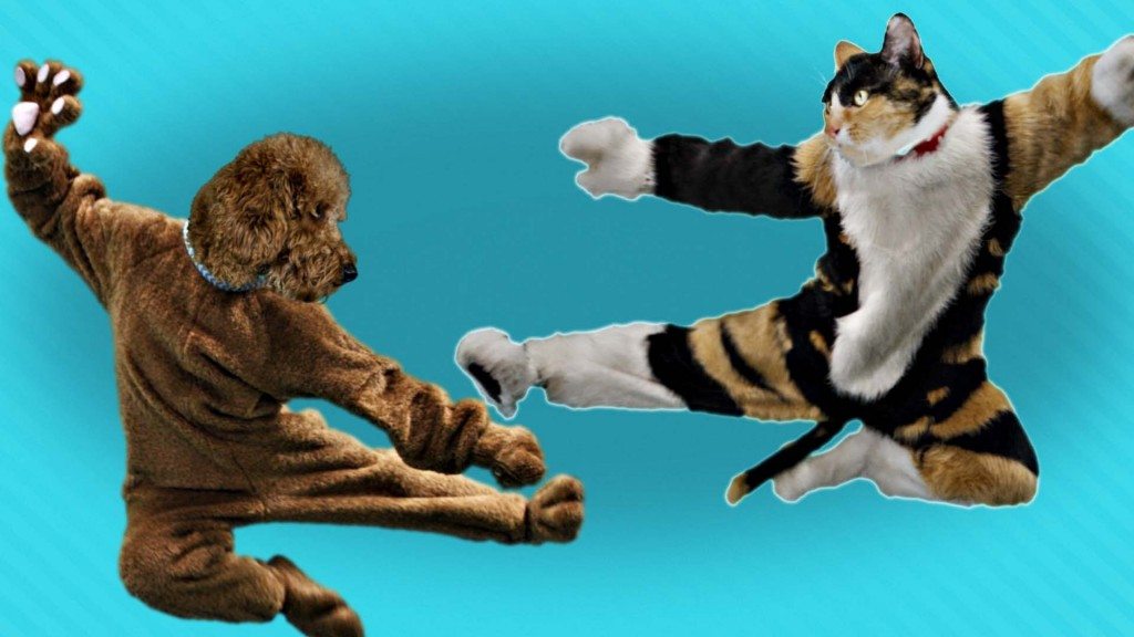 Als het baasje van huis