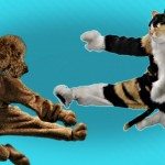 Als het baasje van huis