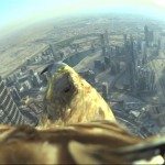 Arend vliegt met camera van ’s Burj Khalifa