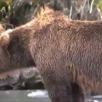 Beer krijgt hartaanval