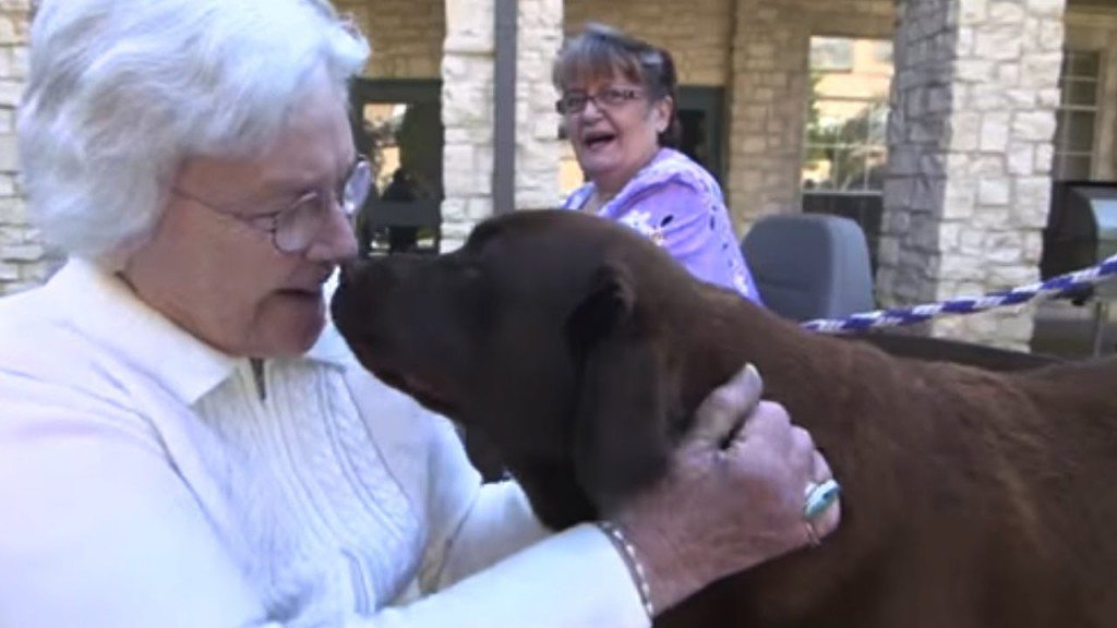 Bezoek van een viervoeter