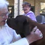 Bezoek van een viervoeter