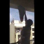 Bijenkorven verwijderen