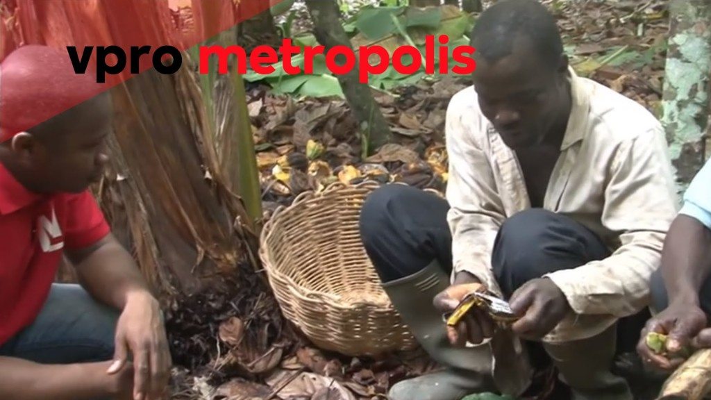 Cacaoboer proeft voor de eerste maal chocolade