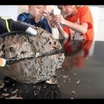 De binnenkant van een wespennest