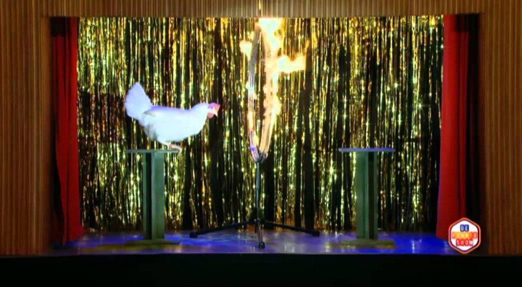 De enige kippendresseur ter wereld