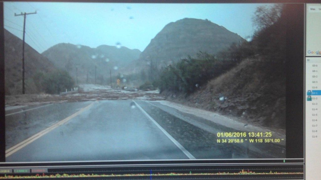 De grillen van Moeder Natuur