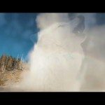 De impact van wolven op het ecosysteem