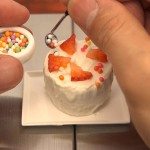 De kleinste biscuit ter wereld