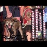 De lelijkste hond ter wereld