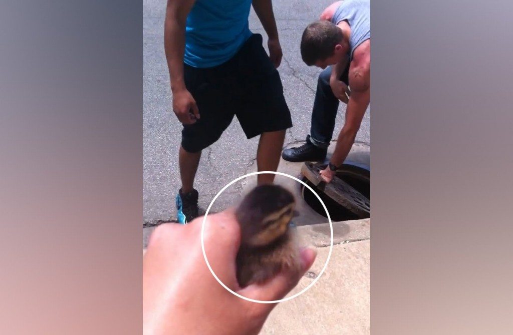 De mens in zijn beste doen