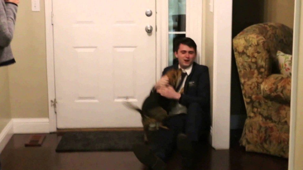 De onvoorwaardelijke liefde van een hond