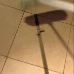 De wraak van een dode spin