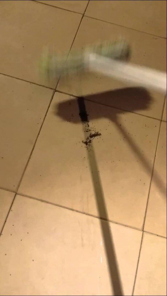 De wraak van een dode spin