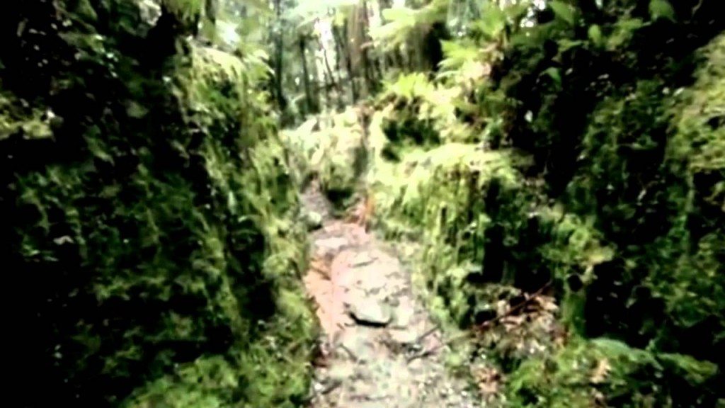 De zuidelijke Alpen in Nieuw-Zeeland