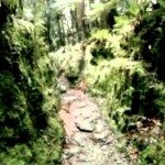 De zuidelijke Alpen in Nieuw-Zeeland