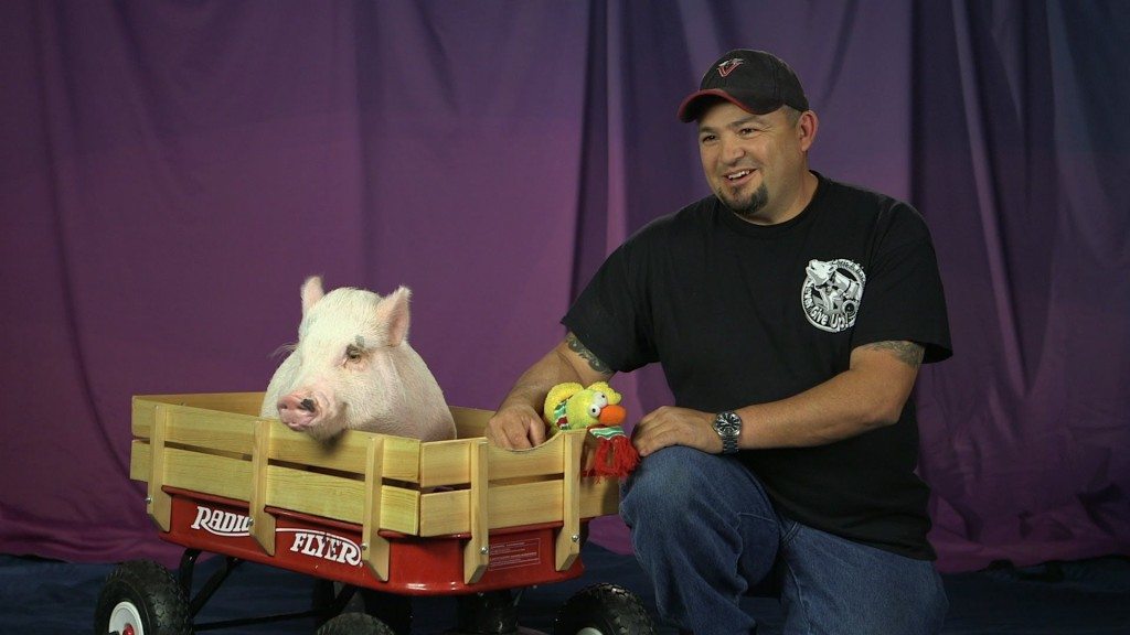 Dieren met protheses