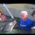 Dolfijn speelt met man