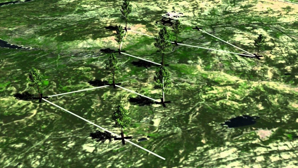 Drones tegen de ontbossing