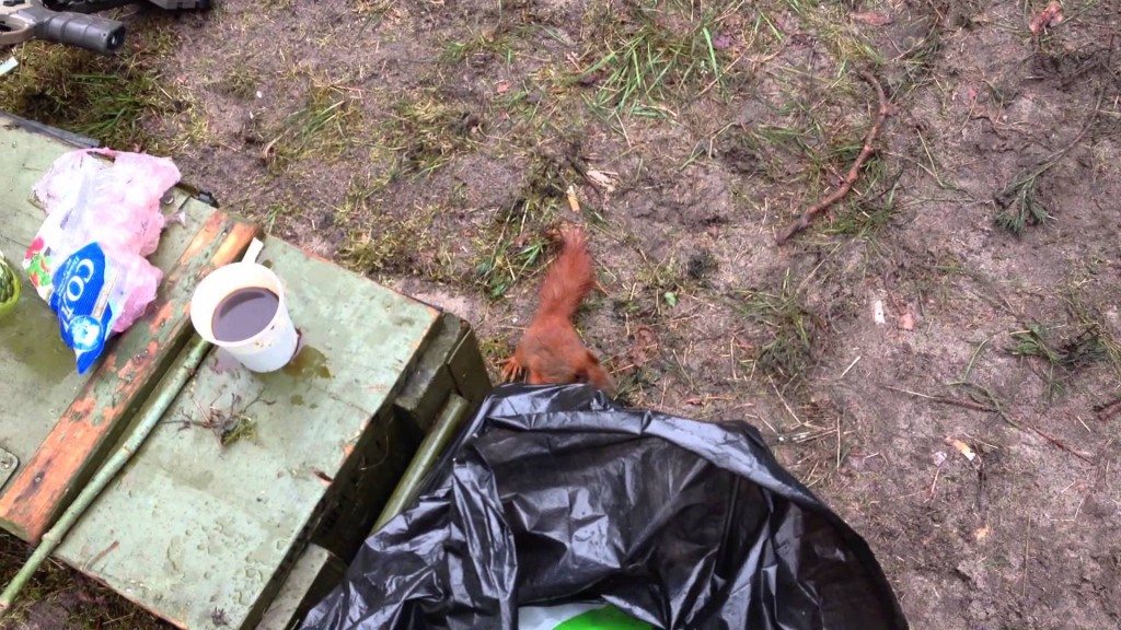 Eekhoorn valt soldaten aan