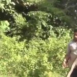 Een koningscobra doodslaan