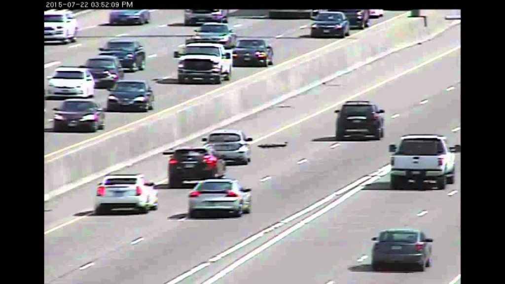 Eendjes steken snelweg over