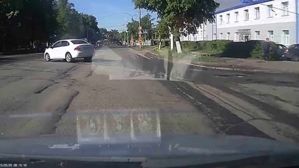 Eland spring over wagen