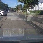 Eland spring over wagen