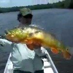 Gevangen vis ontsnapt bijna