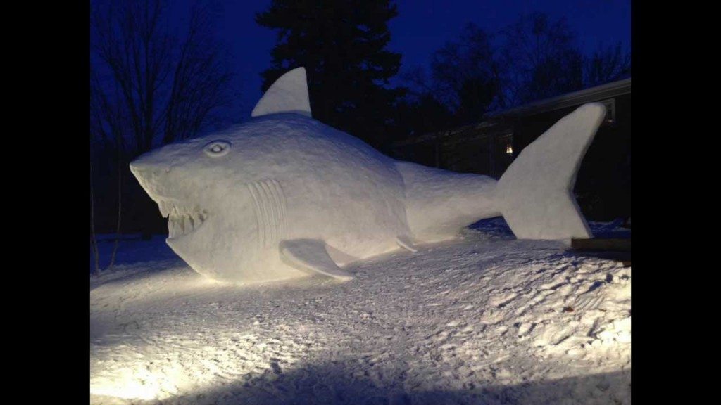 Gigantische sneeuwhaai