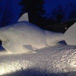 Gigantische sneeuwhaai