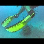 Gigantische vis valt duiker aan