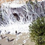 Grapje met wc-papier