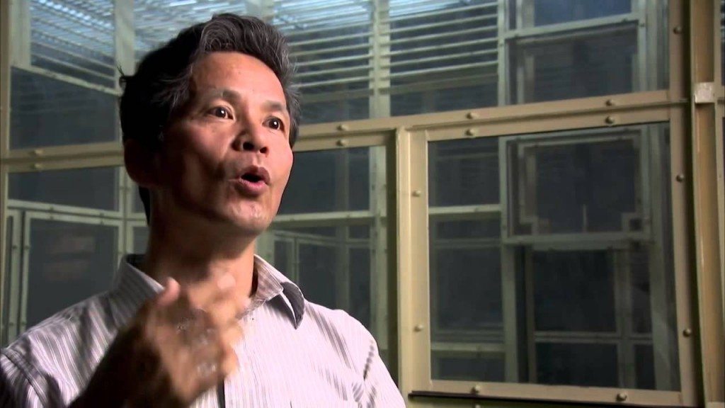 Hallo in het chimpansees