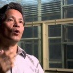 Hallo in het chimpansees