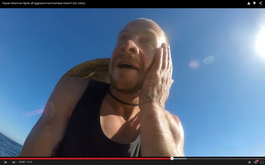 Hamerhaai valt kajakker aan
