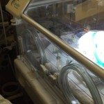 Hartverscheurende serenade