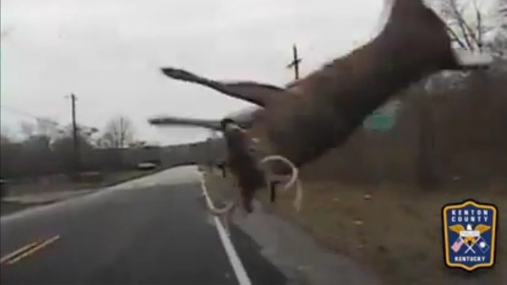 Hert vliegt de lucht in