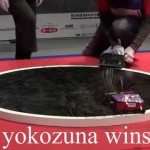 Het moderne sumoworstelen