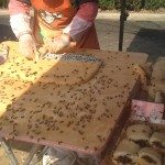 Hmm lekkere bijensnack