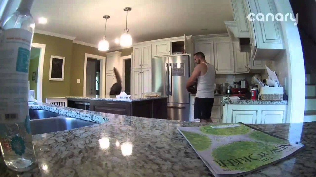 Hmmm lekkere schotel kip