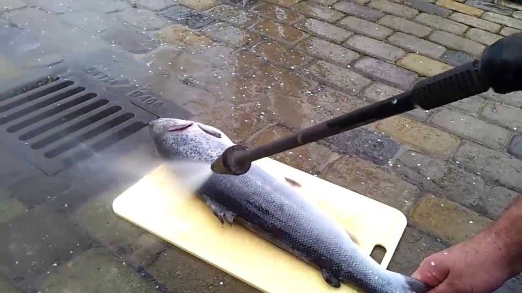 Hoe de schubben van een vis verwijderen?