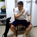 Hoe een hond een medicijn laten nemen?