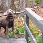 Hoe raak ik deze brug over?