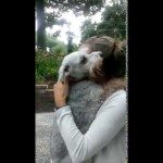 Hond begeeft het van geluk