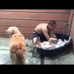 Hond krijgt wellnessbehandeling