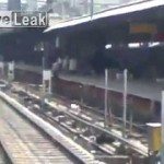 Hond met goede bewaarengel