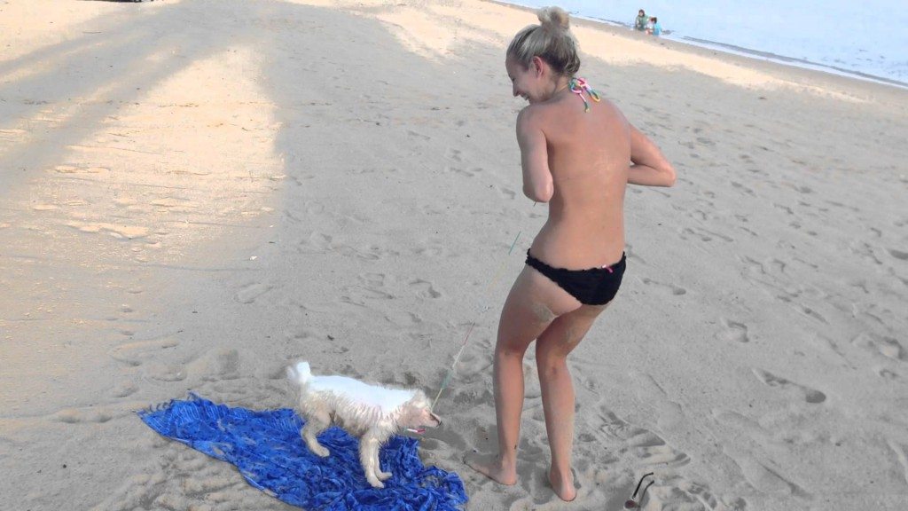 Hond valt bikini aan